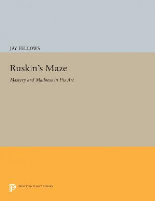 Libro Ruskin's Maze Jay Fellows
