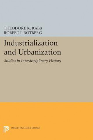 Kniha Industrialization and Urbanization Theodore K. Rabb