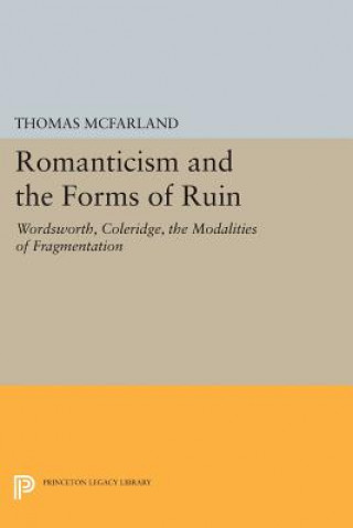 Kniha Romanticism and the Forms of Ruin Thomas McFarland