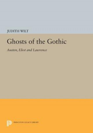 Könyv Ghosts of the Gothic Judith Wilt