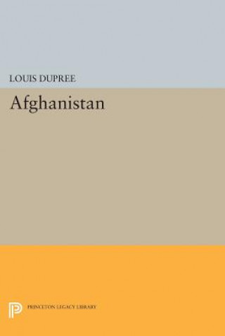 Carte Afghanistan Louis Dupree