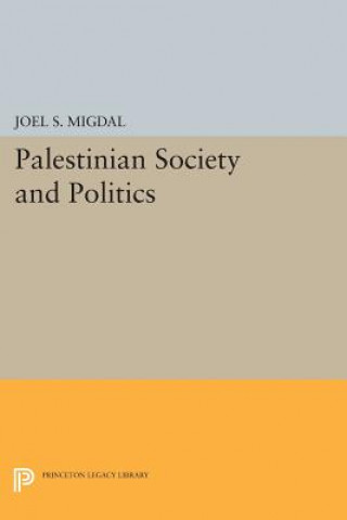 Kniha Palestinian Society and Politics Joel S. Migdal