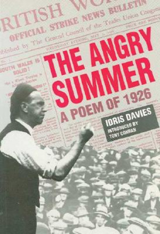 Könyv Angry Summer Idris Davies