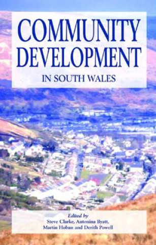 Книга Community Development in South Wales 