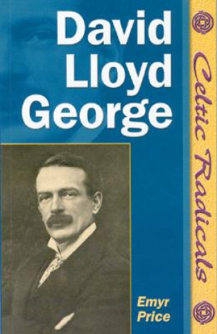 Kniha David Lloyd George Emyr Price