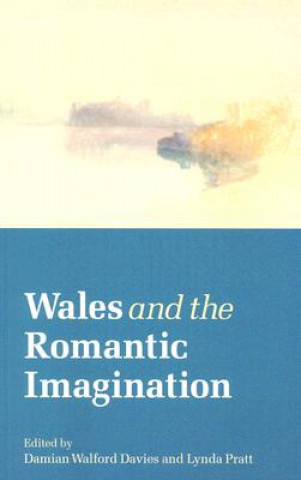 Kniha Wales and the Romantic Imagination Damian Walford Davies