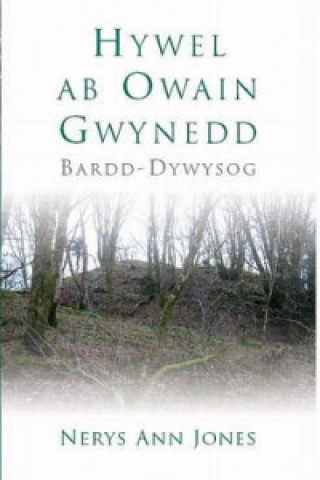 Kniha Hywel ab Owain Gwynedd Nerys Ann Jones
