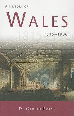 Book History of Wales 1815-1906 D. Gareth Evans