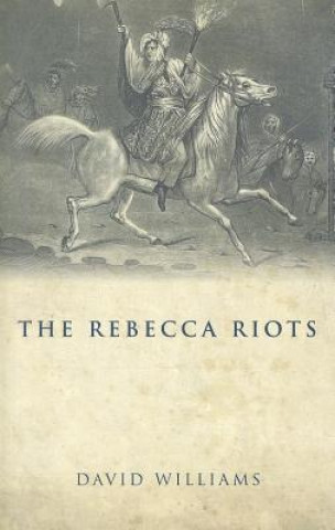 Kniha Rebecca Riots David Williams