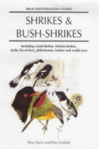 Carte Shrikes and Bush-shrikes Tony Harris