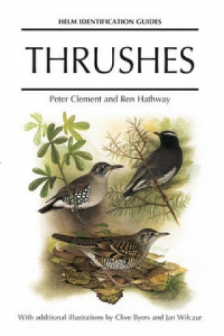 Libro Thrushes Peter Clement