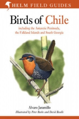 Kniha Birds of Chile Alvaro Jaramillo