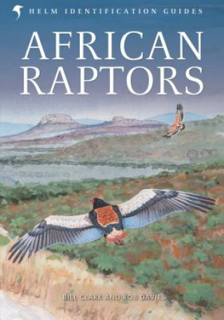 Kniha African Raptors Bill Clark