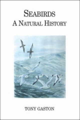 Kniha Seabirds A.J. Gaston