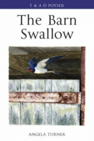 Kniha Barn Swallow Angela K. Turner