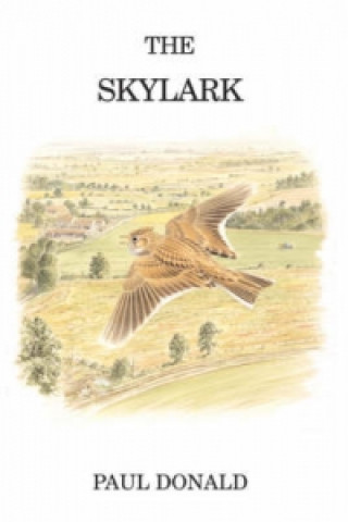 Książka Skylark Paul Donald