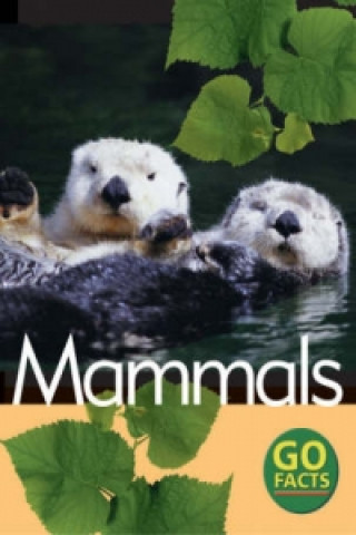 Könyv Mammals Katy Pike