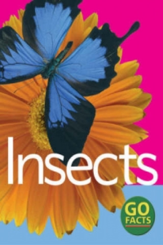 Book Insects Katy Pike