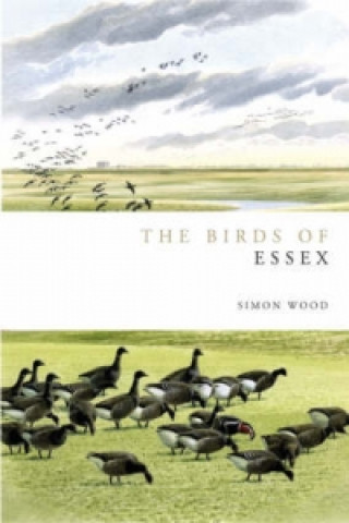 Kniha Birds of Essex Simon Wood