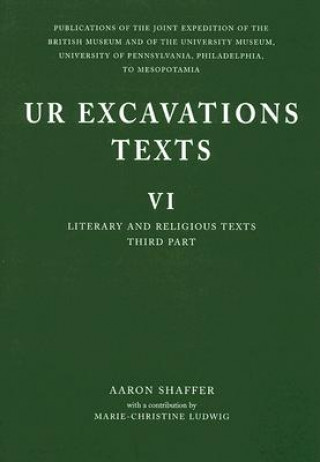 Kniha Ur Excavation Texts A. Shaffer