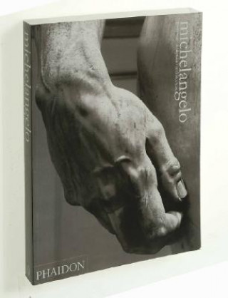 Книга Michelangelo Ludwig Goldscheider