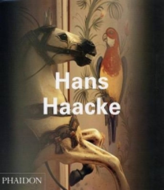 Könyv Hans Haacke Jon Bird