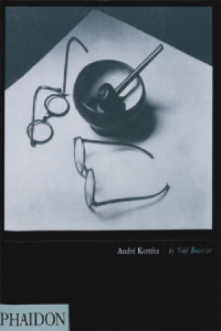 Книга Andre Kertesz Noel Bourcier