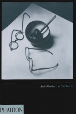 Buch Andre Kertesz Noel Bourcier