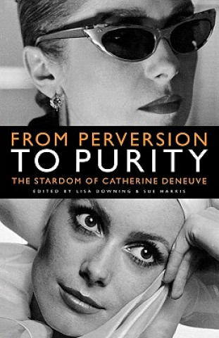 Kniha From Perversion to Purity Lisa Downing