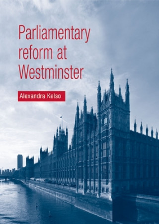 Könyv Parliamentary Reform at Westminster Alexandra Kelso