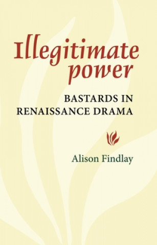 Kniha Illegitimate Power Alison Findlay