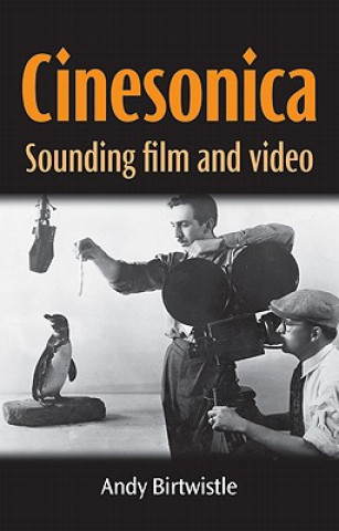 Könyv Cinesonica Andy Birtwistle