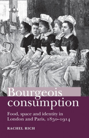 Buch Bourgeois Consumption Rachel Rich