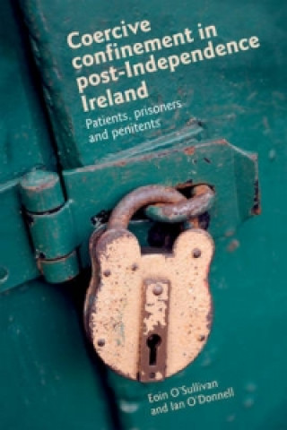 Könyv Coercive Confinement in Ireland Eoin O'Sullivan
