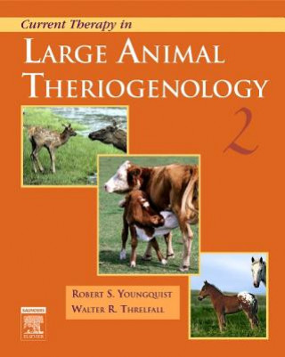 Kniha Current Therapy in Large Animal Theriogenology Robert S. Youngquist