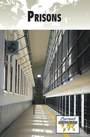 Knjiga Prisons Sylvia Engdahl