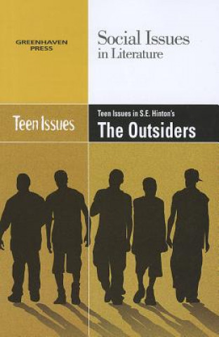 Kniha Teen Issues in S.E. Hinton's the Outsiders 