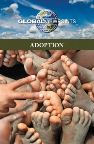 Boek Adoption Diane Andrews Henningfeld