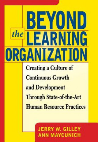 Kniha Beyond The Learning Organization Ann Maycunich