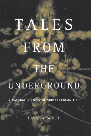 Kniha Tales From The Underground David Wolfe