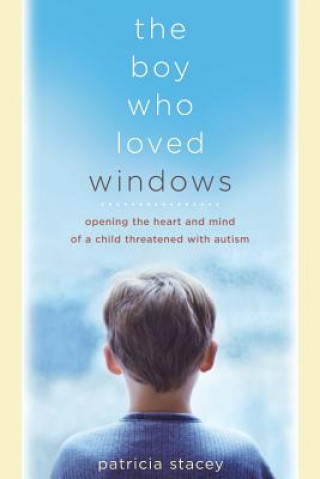 Buch Boy Who Loved Windows Patricia Stacey