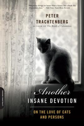 Knjiga Another Insane Devotion Peter Trachtenberg