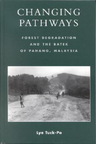 Knjiga Changing Pathways Lye Tuck-Po