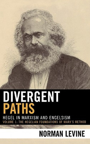 Carte Divergent Paths Norman Levine