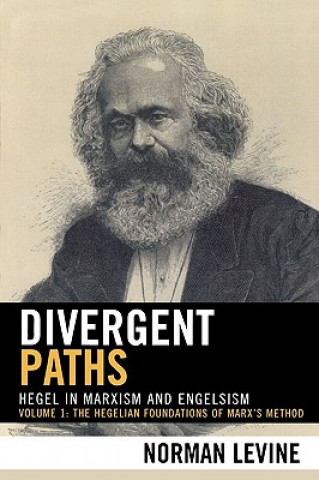 Kniha Divergent Paths Norman Levine