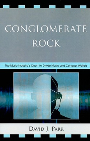 Książka Conglomerate Rock David J. Park
