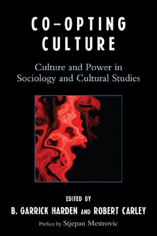 Книга Co-opting Culture B. Garrick Harden