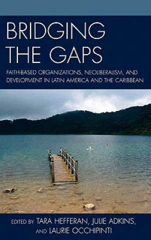 Livre Bridging the Gaps Julie Adkins