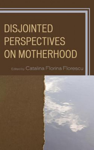 Kniha Disjointed Perspectives on Motherhood Catalina Florescu