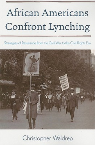 Könyv African Americans Confront Lynching Christopher Waldrep